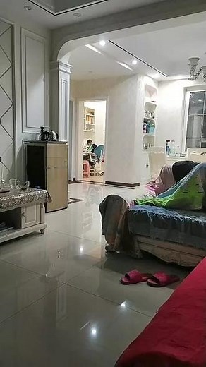 从下午三点做作业做到现在还没做完，最头疼是语文，数学都要抄作业，好多字不会认，不会写，数学刚做完，语文也来了！刚抄完题目，不知道啥时候能做完，耐力估计快消耗完了！老母亲，也实在是无能为力呀！孩子加油呀！多年以后你会感谢现在努力刻苦的自己的！#一年级 #抓拍瞬间 #内容过于真实 #在家网课真实写照