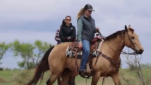 7.5K views · 422 reactions | This weekend on the 22nd Season Premiere of The Texas Bucket List, we’re heading to Amarillo to go horse riding with some cowgirls! In Eagle Pass, we’ll showcase some BBQ and a massive chicken fried steak at The Wagon Wheel! And in Abilene, we’ll get some treats perfect for your valentine at Candies by Vletas. Visit TheTexasBucketList.com for airtimes in your area! | The Texas Bucket List | Facebook