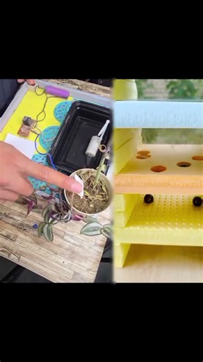 Topper project and backbencher project 😜😜