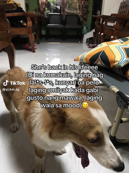 Dealing with Heartbreak: Coping Strategies for Moving On