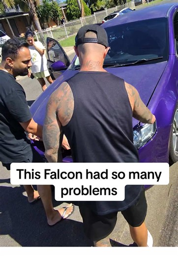 The Falcon's Troubles: A Car Flipping Story