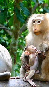 Rina’s endless energy pushes Rose to limits | Alien TV