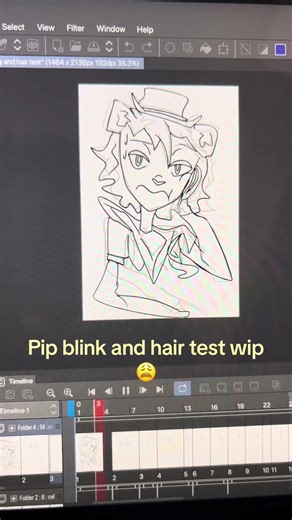 Pip Hair and blink test wip