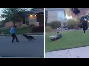 Dog tased by officers investigating domestic dispute