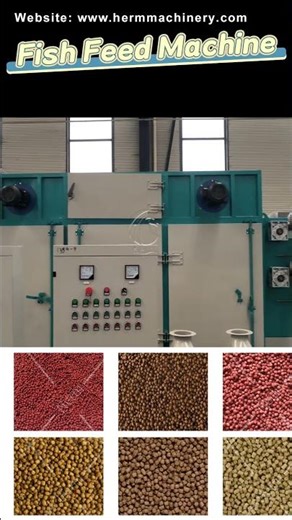Floating Fish Feed Pellet Making Machine in Angola- Herm Machinery #fishfeedmachine