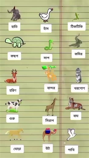 #duet with @শুন্য পৃথিবী 🌊