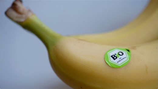 Ist Bio wirklich besser? Faktencheck kommt zu überraschendem Ergebnis