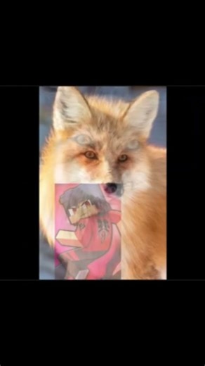 Aphmau zoo animals 🐍🐰🦊🐃🐱