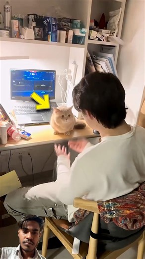 #cat #vlog #pets #new #trending #viral #funny #masti #newreel #facts #viralposts #viralvideos #viral