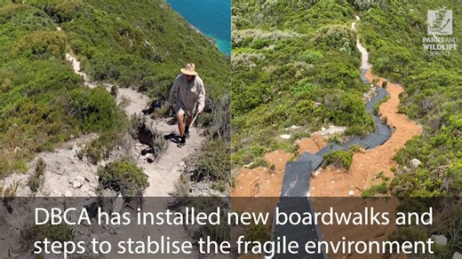 IT'S OPEN! 🎉 The stunningly beautiful Bald Head Walk Trail near Albany has re-opened! Extensive upgrades to the track have been completed with new boardwalks and steps which will help stabilise washed-out dunes and prevent future erosion. While the track has been upgraded, the scenery remains the same - a jaw-droppingly beautiful mix of wild Southern Ocean coastline, towering granite rocks, white beaches and turquoise seas. BUT it remains a long and challenging Grade 4 bushwalk that requires a