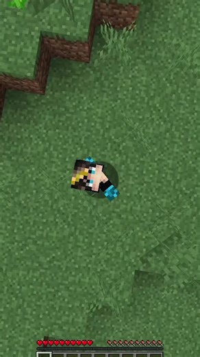 Minecraft Challenge: Coping with Short Term Memory Loss