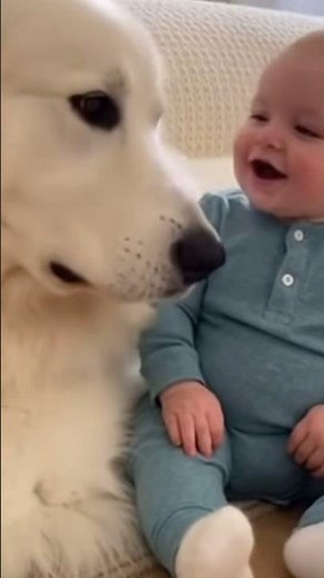 Perritos tiernos cuidando bebés 👶 momentos más adorables del mundo #perritos #dogs #niños #viral