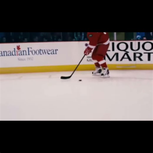 Xavier Laflamme Hockey Skills and Goon Movie Scenes Compilation