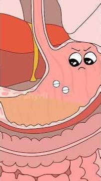 How Do Sleeping Pills Really Work? #animation #funny