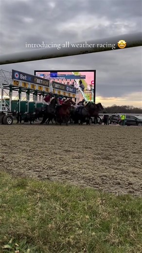 All Weather racing just hits different 🤩 #lingfieldracecourse #horseracing #horse #fyp #foryoupage