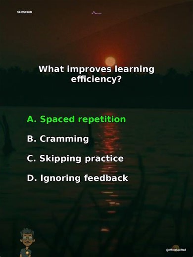 🔥 QUIZ TIME: What improves learning efficiency?