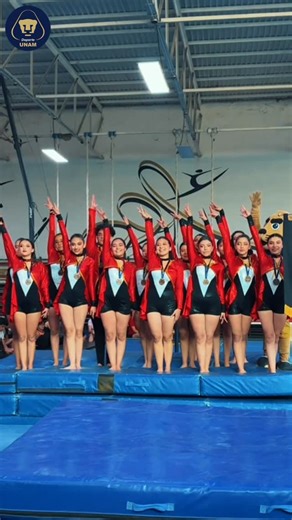 Deporte UNAM on Instagram: "#AsíSeVivió el Festival Universitario de Gimnasia para Todos 🤸🤸‍♀️🤸‍♂️ #SoyDeporteUNAM"