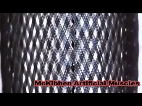 Hydraulic McKibben Muscles