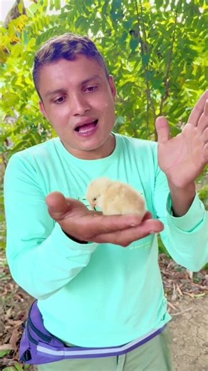 Cómo saber si es macho o hembra