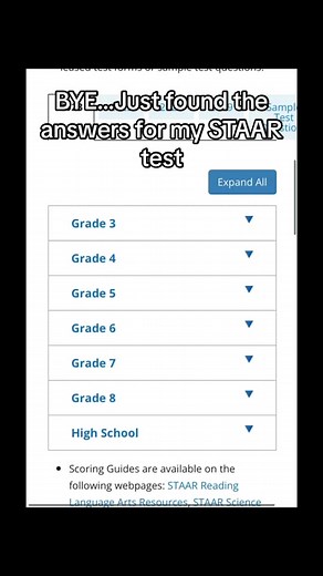Secretly Preparing for the STAAR Exam