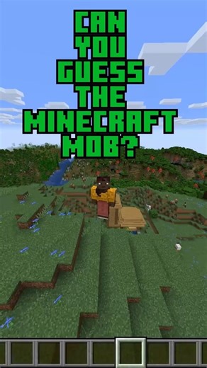 Can you guess the Minecraft mob?