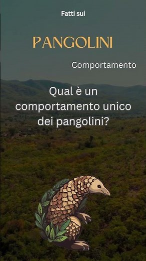 Fatto sul Pangolino 30 - Qual è un comportamento unico dei pangolini?