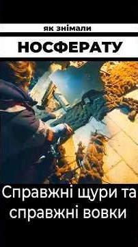 Справжні тварини, а не графіка у фільмі Роберта Еггерса Носферату 2024