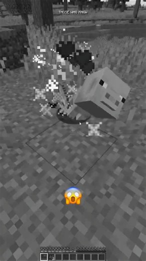 A MOD THAT TURNS MINECRAFT INTO AN EDIT?! | #minecraft