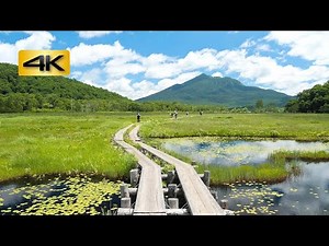 思い出して夏の尾瀬！雄大な空と大自然の景色を楽しむハイキング Summer Oze National Park : 尾瀬国立公園 (群馬県・福島県・新潟県) : 4K