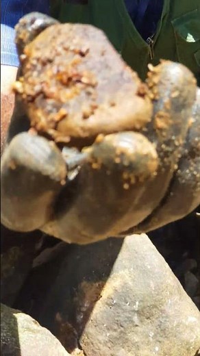 IS it Ruby? Red Particles Rock | What Inside!