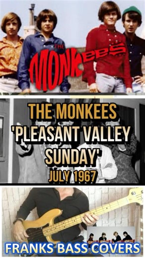 PLEASANT VALLEY SUNDAY - THE MONKEES | FRANKS BASS COVERS #shorts2026