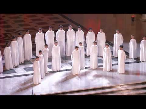 libera vists America