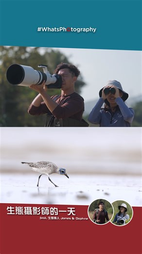 【#WhatsPhotography｜生態攝影師的一天！】 喺高樓林立嘅香港，每一日忙碌嘅除咗你同我，仲有同我哋近在咫尺嘅野生動物鄰居🌻 James 同 Daphne 就係紀錄野生生物故事嘅生態攝影師同生態紀錄片製作人！ 一齊睇下佢哋係用咩方法先影到震撼人心嘅生態影像？👀 呢啲生態影像嘅背後又有咩意義呢？📸 即到 Canon Hong Kong YouTube Channel 睇足本版啦！⚡ #CanonHK #EOS #R3 #R5 #EOSRSystem #WildLifePhotography ＠WildlifeLoversHK | Canon Hong Kong