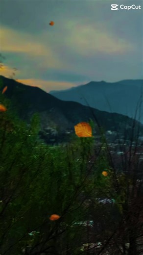 Aw che ta chart we janaa 🫶🌺❤️#universe #natur #standwithkashmir #kakad#foryoupage❤️❤️