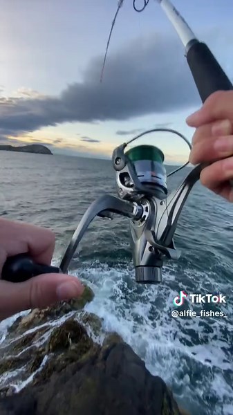 Catching Pollock and Mackerel at the Rocks