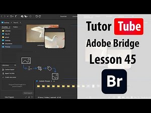 Adobe Bridge - Lesson 45 - Contact Sheet Watermark Settings