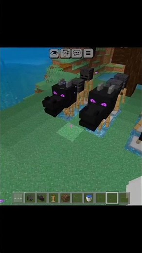 Baby Dragons in Minecraft?!