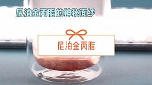 揭开尼泊金丙脂(羟苯丙酯)的神秘面纱：生活中的隐形守护者-济南圣和化工有限公司