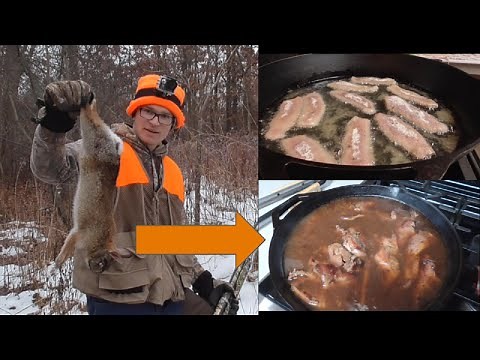 2 Simple Rabbit Recipes! (French Onion Soup Mix and Fried Rabbit)