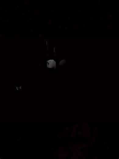 Meine Rooya Full Song Slowed and Reverb Version