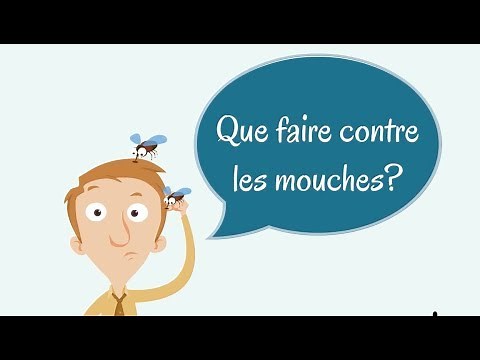 Comment se débarrasser des mouches dans la maison