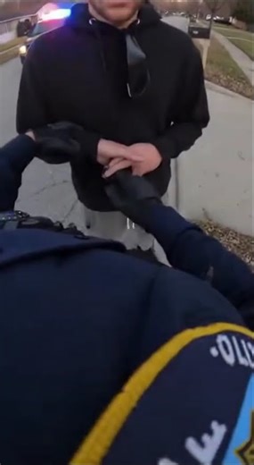 Cats distract silly robber #brave #sora #bodycam #police #cops