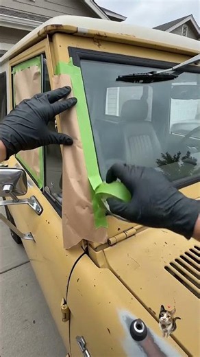 Abandoned 1977 Ford Bronco Restoration (Cinematic ASMR)