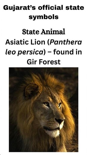 Gujarat Official State Symbols | Focus Channel | #gkshorts #gujarat #symbols #knowledge #info