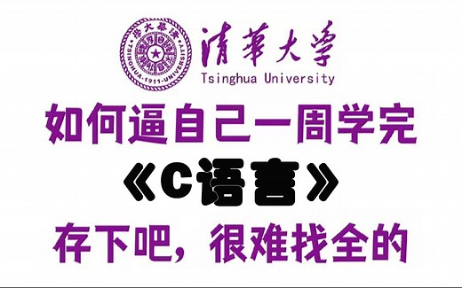 【整整500集】这绝对是全B站最用心的C语言零基础入门全套教程，2024最新版，手把手带你7天搞定C语言，0基础小白学C语言看这套就够了！