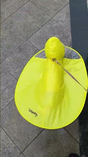 Windproof & Waterproof – Adorable Dog Raincoat for Rainy Day Walks! #dograincoat #cutedog