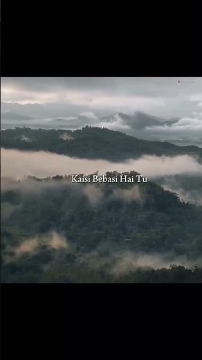 best of lyrics song 🎧 #trending #love #aestheic #yourlove #viral #popularsong #shortvideo #music