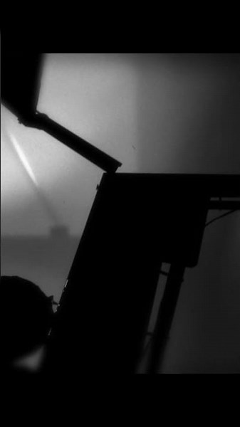 Bugs, Jokes, Fails & Moments... in Limbo pt.24 | Walkthrough fails 4