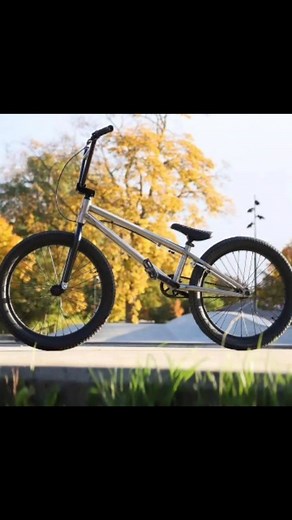 11 reactions | @kingdombike Resist 22. Titanium goodness on 22s. #22inchbmx #22bmx #titaniumbmx | 22-Inch BMX | Facebook