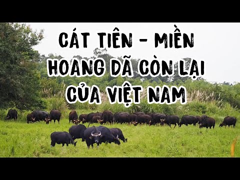 Cát tiên, miền hoang dã còn lại ở Việt Nam. Cat Tien The remaining wild place in Vietnam